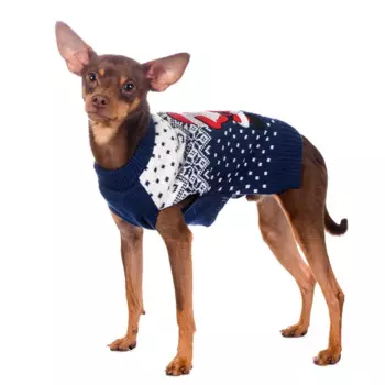 Rurri Свитер для собак Танцор Дед Мороз L синий (унисекс)