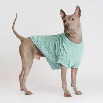 RURRI Свитер из шенилла для собак, 4XL, голубой