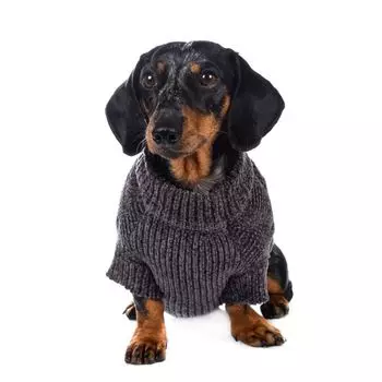 Rurri Свитер из шенилла для собак 4XL серый (унисекс)