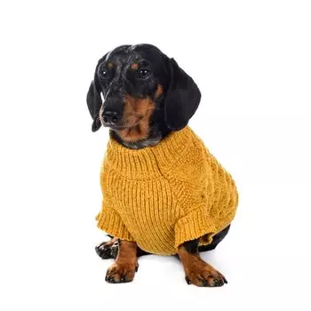 Rurri Свитер из шенилла для собак XS желтый (унисекс)