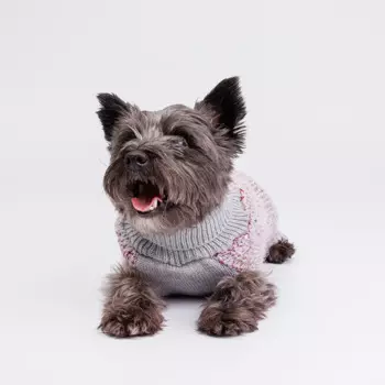 RURRI Свитер вязаный для кошек и собак, L, фиолетовый