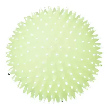 Trixie Игрушка для собак Мяч игольчатый Лунный свет, диаметр 10 см