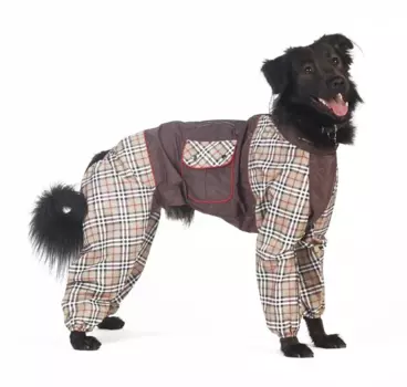Тузик Комбинезон холодный для собак породы русский спаниель, 3XL (девочка)