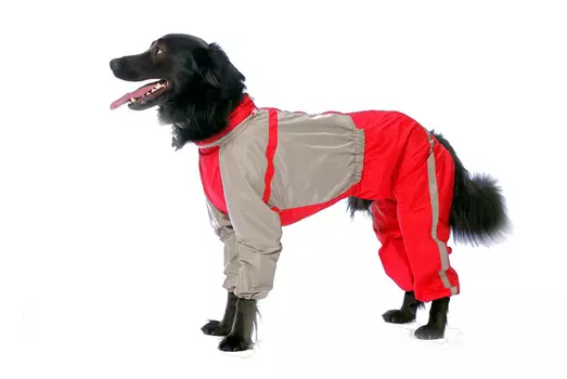 Тузик Комбинезон холодный для собак Немецкая овчарка 5XL (девочка)