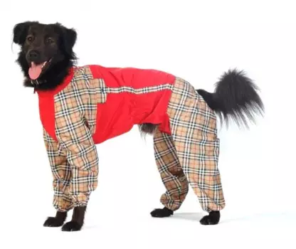 Тузик Комбинезон холодный для собак породы вест хайленд уайт терьер, L (мальчик)