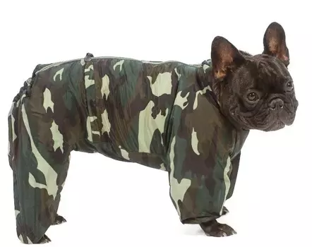 Тузик Комбинезон теплый для собак породы французский бульдог, 2XL, камуфляж (мальчик)