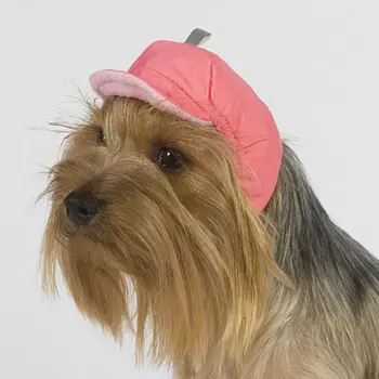 Тузик Шапка теплая для собак, L (унисекс)