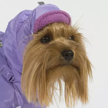 Тузик Шапка теплая для собак, XS (унисекс)