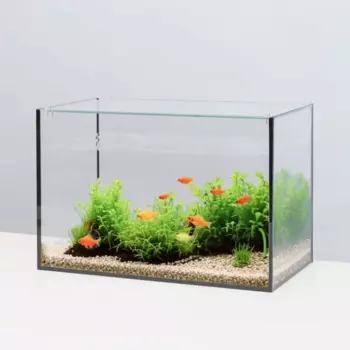 WATERA Аквариум (40х21х26 см) с покровным стеклом, 20 л