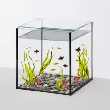 WATERA Аквариум-креветкарий (24х24х26 см) с покровным стеклом, 14 л