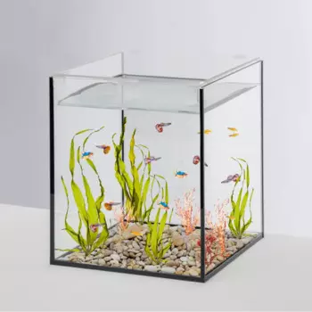 WATERA Аквариум-креветкарий (27х27х32 см) с покровным стеклом, 23 л
