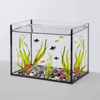 WATERA Аквариум (27,5х17х21,5 см) прямоугольный, 10 л