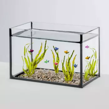 WATERA Аквариум (23,5х13,5х16 см) прямоугольный, 5 л