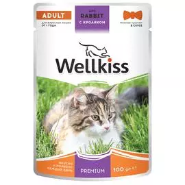 Wellkiss Adult Влажный корм для взрослых кошек, с кроликом в соусе, 100 гр.
