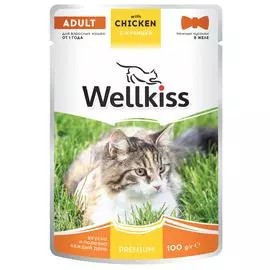 Wellkiss Adult влажный корм для взрослых кошек, с курицей в желе, 100 г