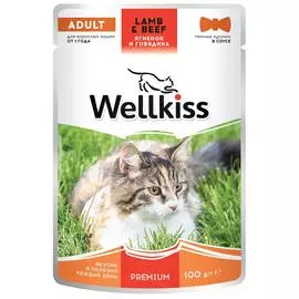 Wellkiss Adult Влажный корм для взрослых кошек, с ягненком и говядиной в соусе, 100 гр.