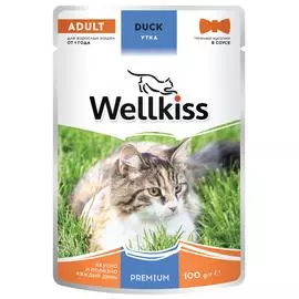 Wellkiss Adult Влажный корм для взрослых кошек, с уткой в соусе, 100 гр.