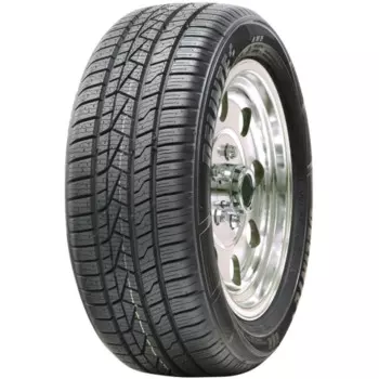 Шина Delinte AW5 205/65 R16 95W