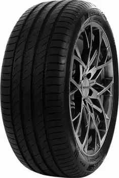 Шина Delinte DS2 205/50 R17 93W