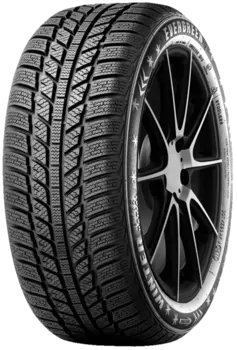 Шина Evergreen EW62 165/70 R14 85T