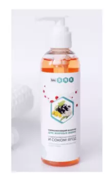 Шампунь, для жирных волос (нормализующий), 200мл, BIO SNK