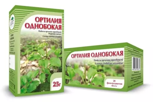 Ортилия однобокая, побеги, 25 г. , Хорст