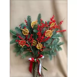 Нобилис и Илекс