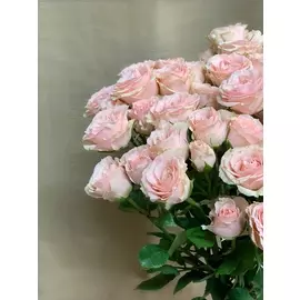 Роза Мариса и Хилси