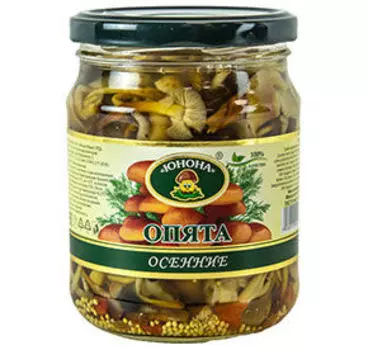 Овощи и грибы Юнона