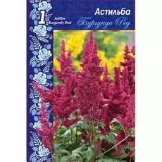 Астильба Бургунди Ред 1 шт.