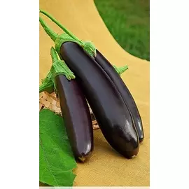 Баклажан Черный опал 0,1 гр цв.п.