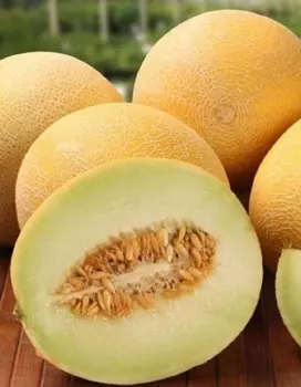 Дыня Лада 1 гр цв.п.