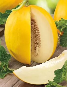 Дыня Сказка 1 гр цв.п.