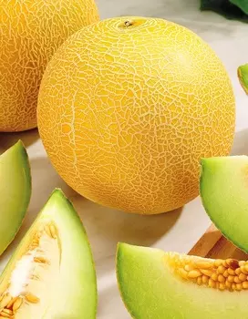 Дыня Таманская 1 гр цв.п.