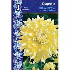 Георгина Гран При 1шт XXL