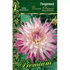 Георгина Снохо Диана 1шт