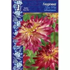 Георгина Зои Рей 1шт