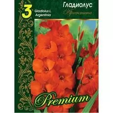 Гладиолус Аргентина 1 уп. (3 шт.).