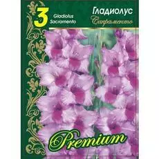 Гладиолус Сакраменто 1 уп. (3 шт.).
