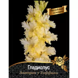 Гладиолус Завтрак у Тифани 1 уп. (3 шт.)