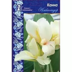 Канна Амбассадор 1 шт.