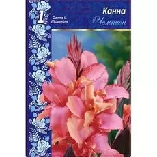 Канна Чемпион 1 шт.