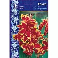 Канна Люцифер 1 шт.