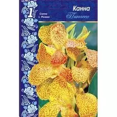 Канна Пикассо 1 шт.