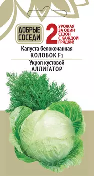 Капуста белокочанная КОЛОБОК F1 и Укроп кустовой АЛЛИГАТОР