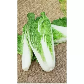 Капуста пекинская Маноко F1 15 шт цв.п.