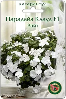 Катарантус Парадайз Клауд F1 Вайт 5 шт