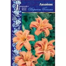 Лилейник Априкот Бьюти 1 шт Р9