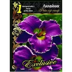 Лилейник Фейс оф Старс 1 шт