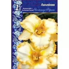 Лилейник Энчентед Форест 1 шт Р9